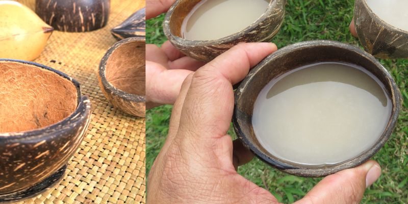 Create ʻAPUtunity: Coconut Cup Workshop — organizer image