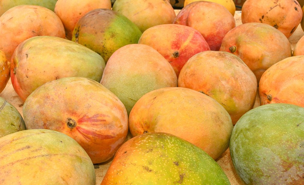 Coconut Marketplace Farmers’ Market — official source image