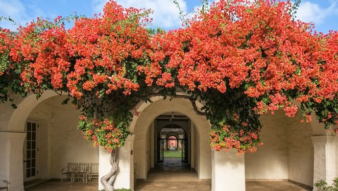 Courtyards of HoMA — organizer image
