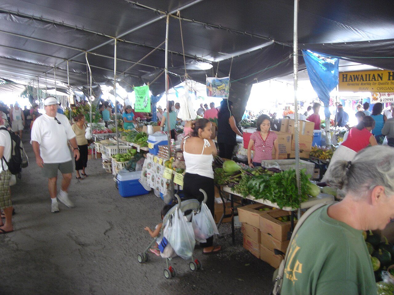 Hilo farm market.jpg