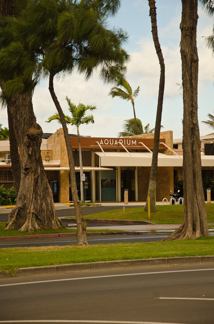 South Shore Oahu, Hawaii - panoramio (36).jpg