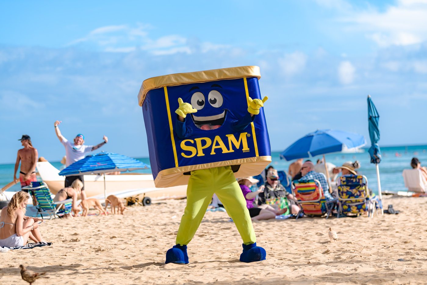Waikiki SPAM JAM 2027 — official source image