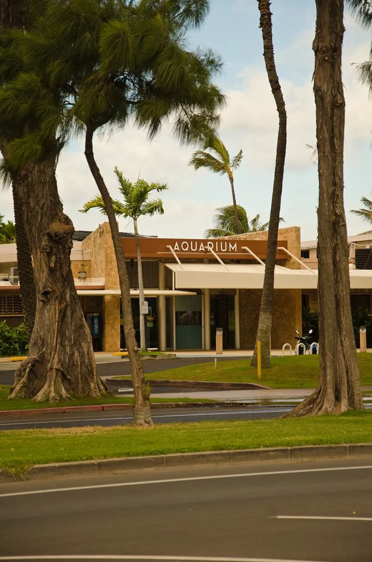South Shore Oahu, Hawaii - panoramio (36).jpg