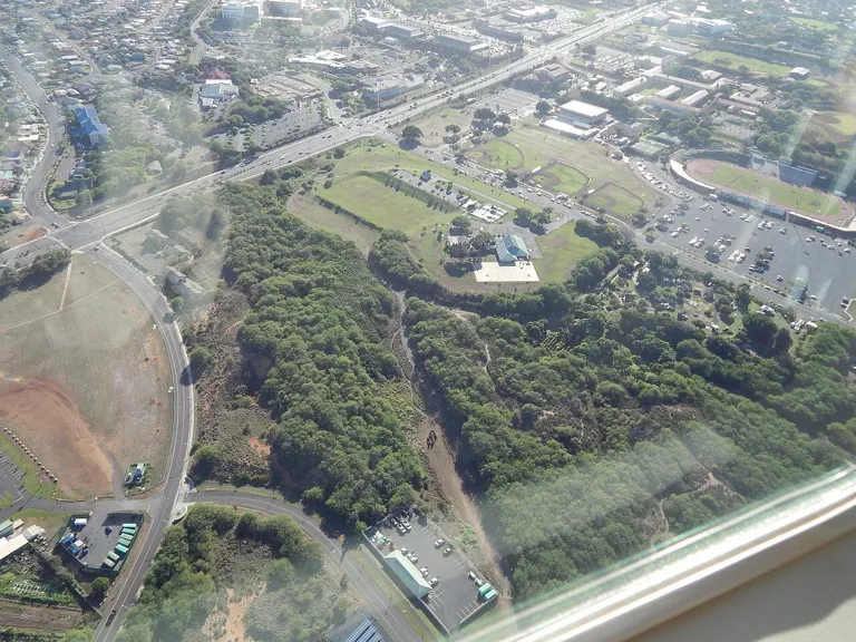 Starr-141025-2597-Prosopis pallida-aerial view Keopuolani Park and Maui Nui Botanical Gardens-Kahului-Maui (25129726572).jpg