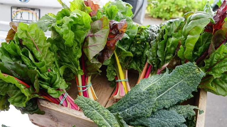 farmlovers-markets