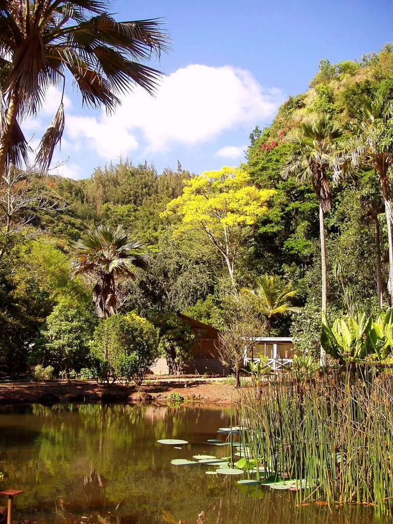 Waimea Valley Audubon Center, Oahu, Hawaii - lake view.